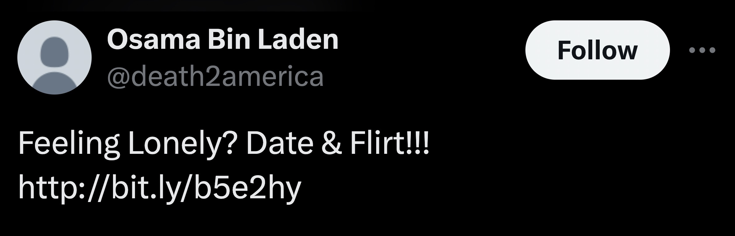 parallel - Osama Bin Laden Feeling Lonely? Date & Flirt!!!